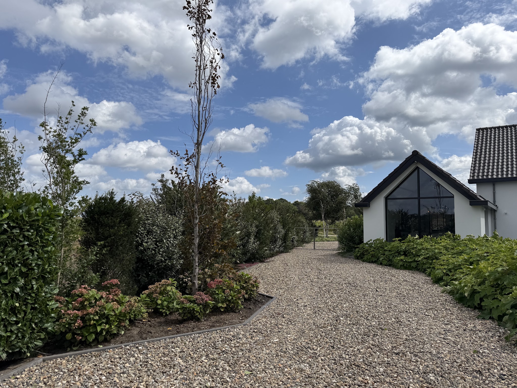 Grindpad met hortensia’s, jonge bomen en hagen naar een wit huis met glazen gevel