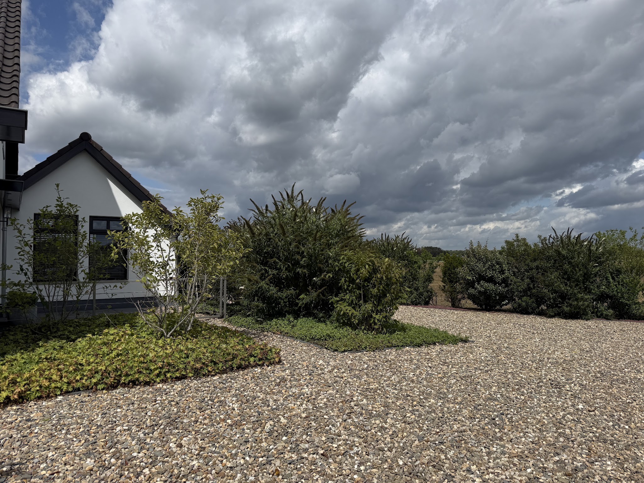 Lage bodembedekkers en jonge bomen naast het huis, omringd door grind