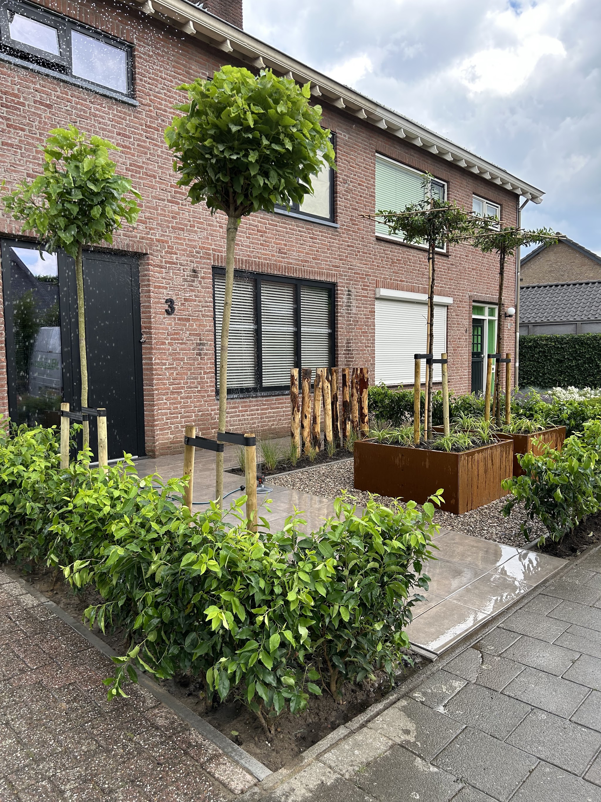 Voortuin met twee bolbomen, een grote plantenbak en nieuwe beplanting langs het pad